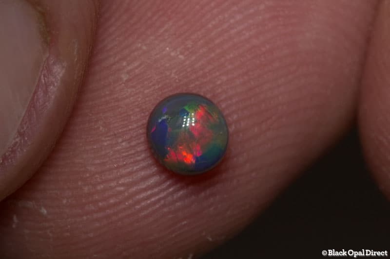 0.44 ct black opal stud 4.5x4x3mm - Image 2