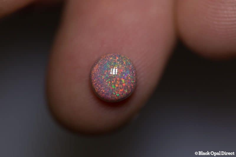 1.49 ct semi black opal 7.5x7x4mm - Image 2