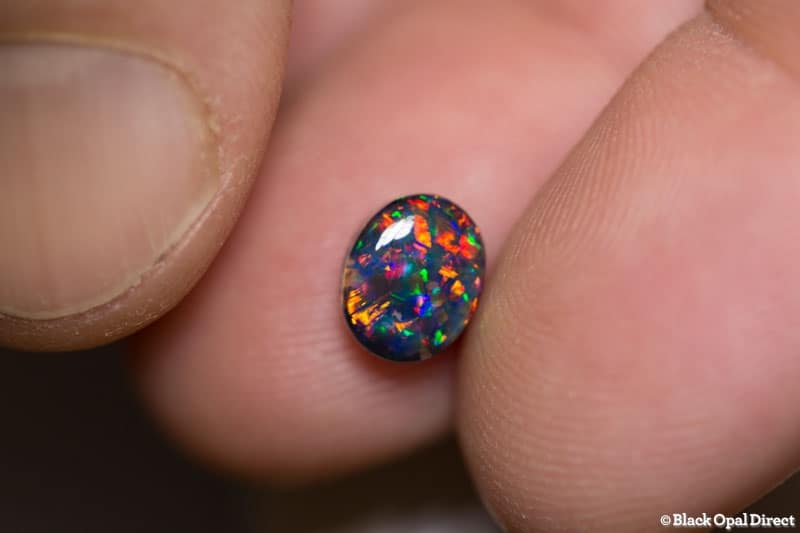 1.51 ct gem black opal 8x6x4mm collectors gem - Image 4