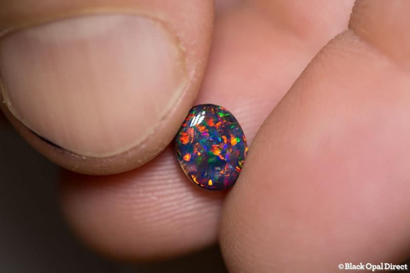 1.51 ct gem black opal 8x6x4mm collectors gem - Image 5