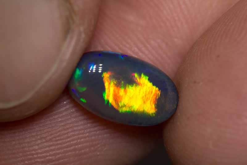 1.97 ct black opal 12x7x5mm - Image 2
