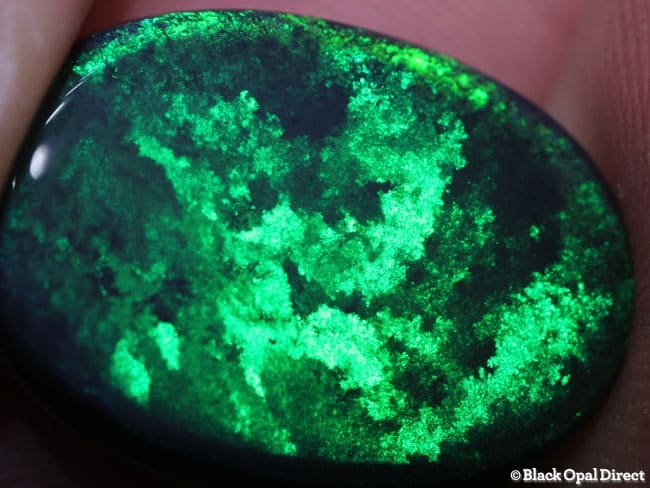 11.71 ct black opal 21.5x15x5mm - Image 3