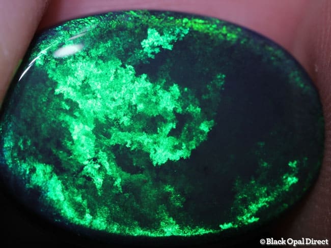 11.71 ct black opal 21.5x15x5mm - Image 4