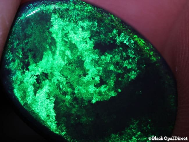 11.71 ct black opal 21.5x15x5mm - Image 5