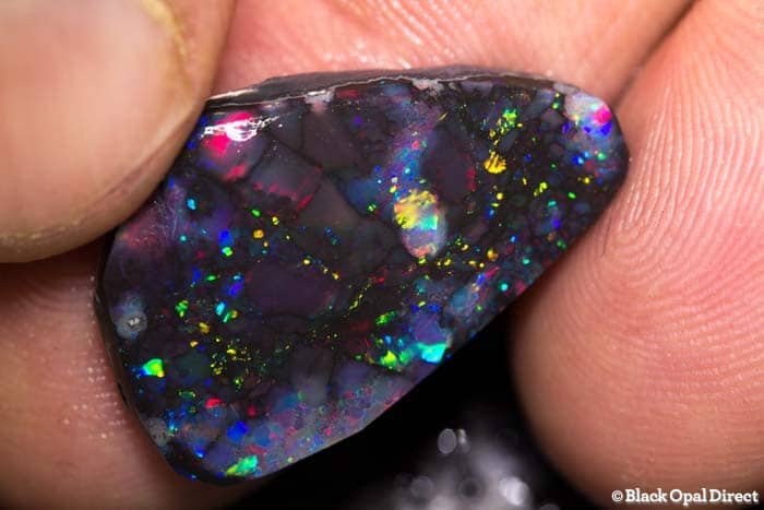 11 carat gem black opal rub 25mm across - Image 2