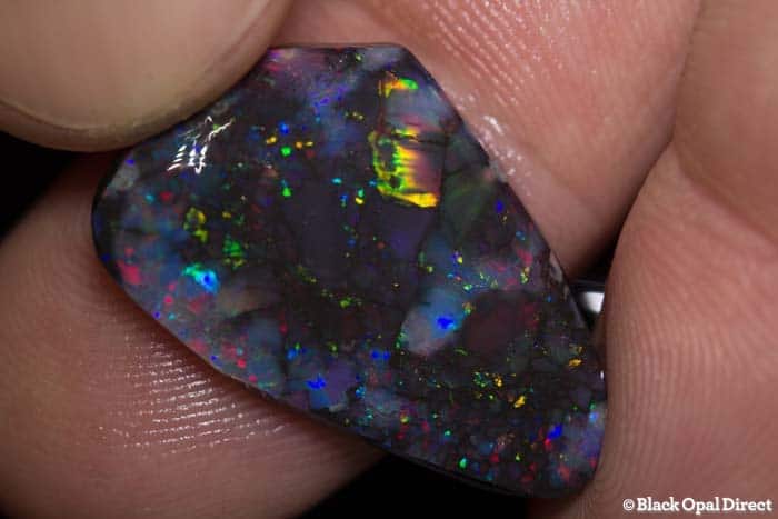 11 carat gem black opal rub 25mm across - Image 3