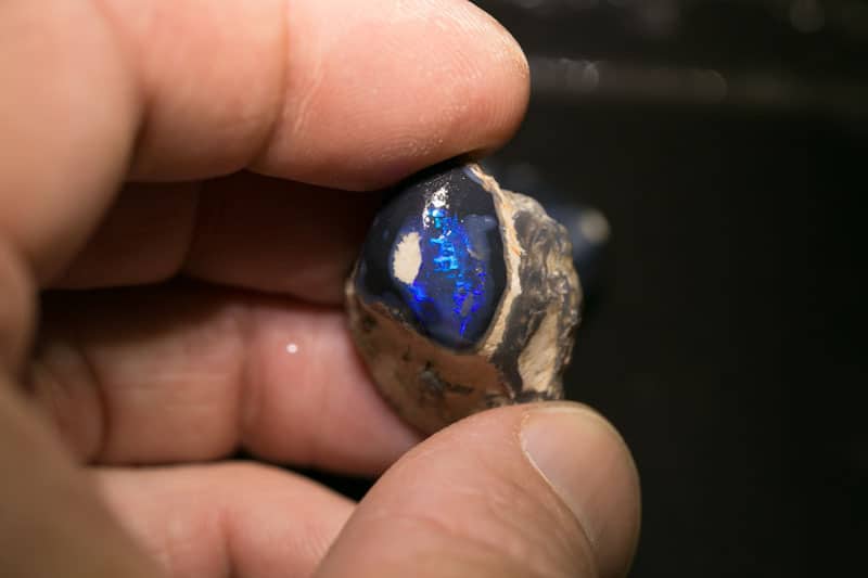 125 ct rough opal parcel 5pc for intermediate lvl - Image 3