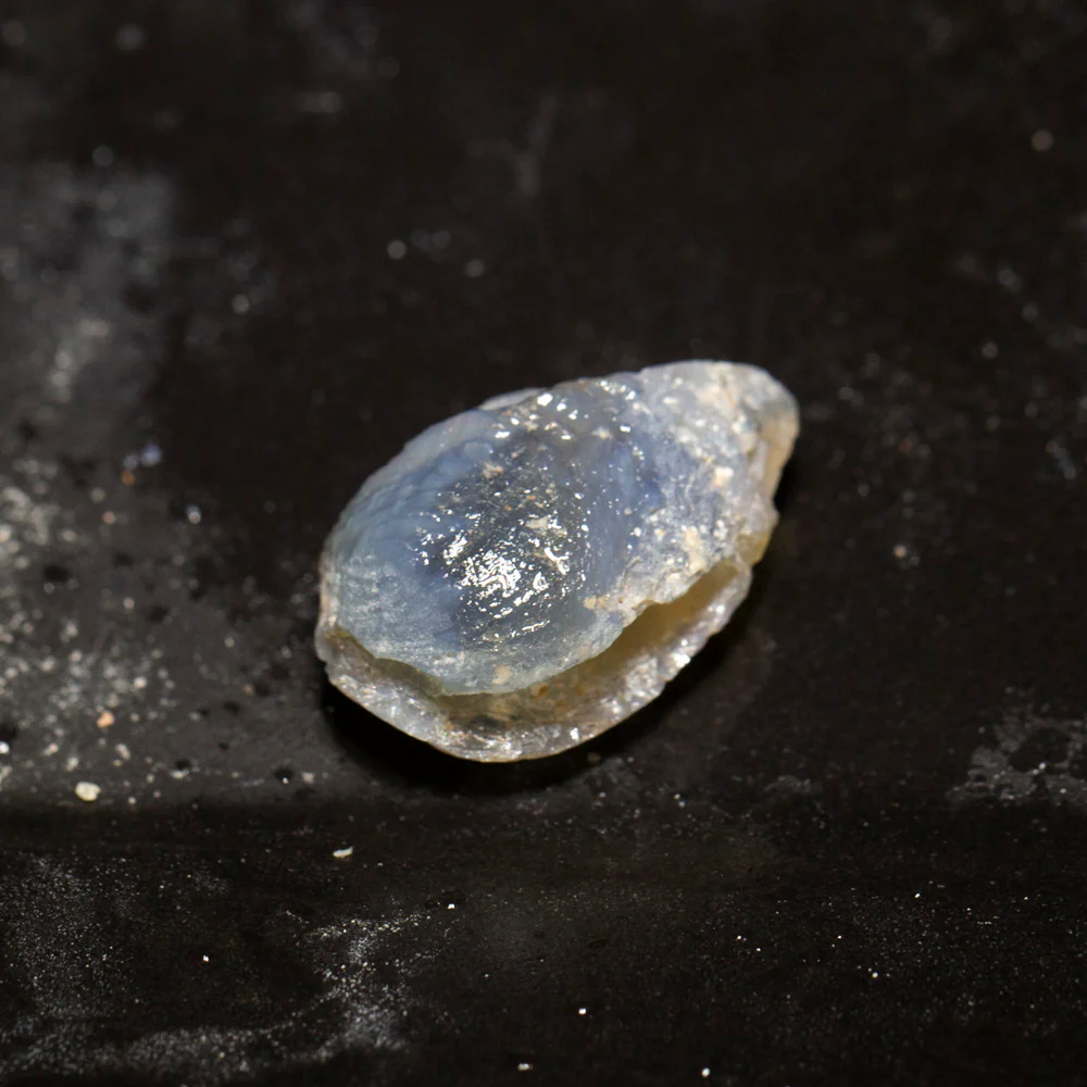 13.97 ct opal fossilised shell 22.1x13.8x10mm - Image 2