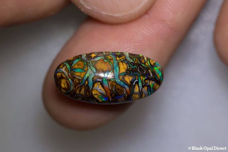 14.58ct boulder opal 21x10x8mm - Image 3