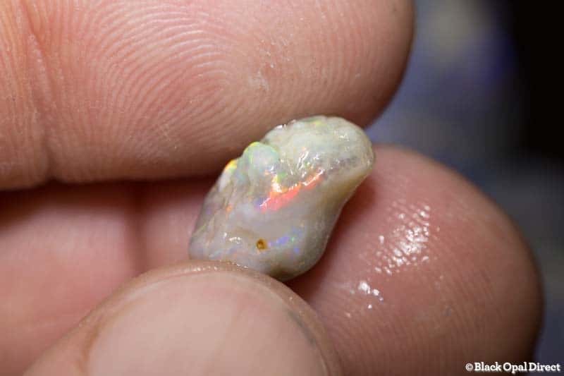 145 ct rough opal parcel 12 pieces - Image 3