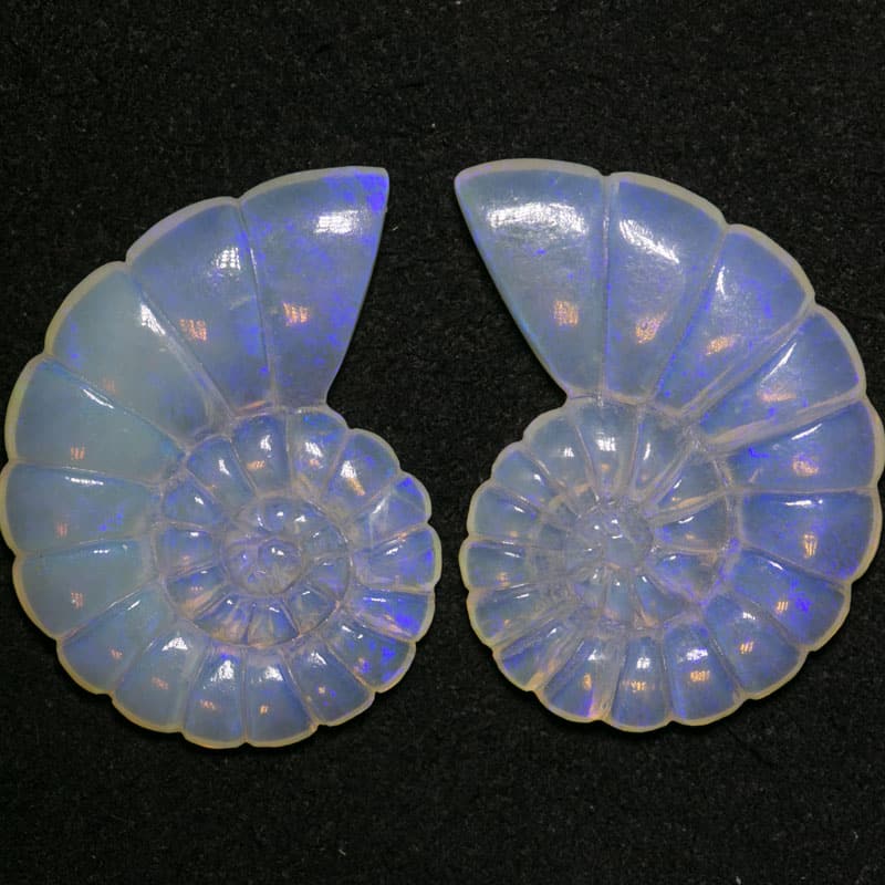 15.25 ct opal nautilus carving 25x15mm - Image 2