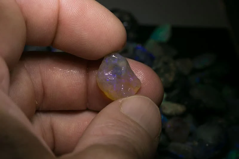 1600 carats or rough opal nobby material - Image 10