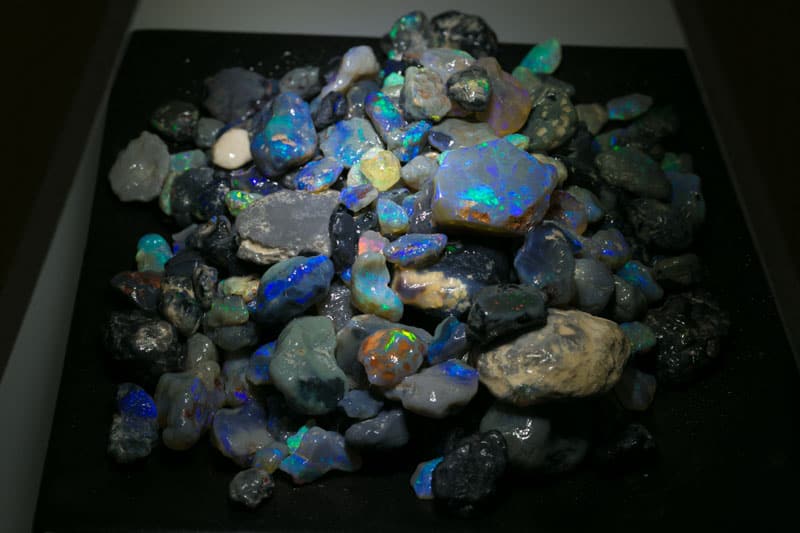 1600 carats or rough opal nobby material - Image 2