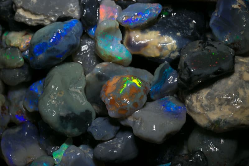 1600 carats or rough opal nobby material - Image 3