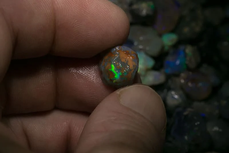 1600 carats or rough opal nobby material - Image 8