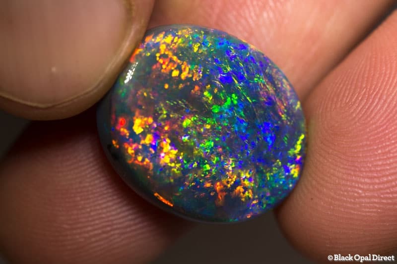 18.41 ct gem black opal large 22x18x7mm - Image 10
