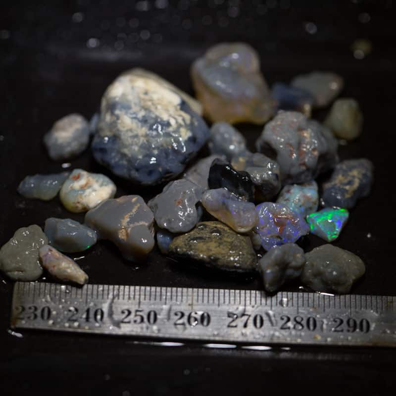 199ct Beginners Rough Opal with Video Tutorials - Image 4
