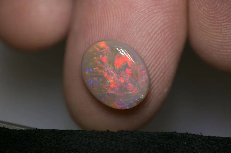 2.71 ct dark opal 12x10x3.5mm - Image 2