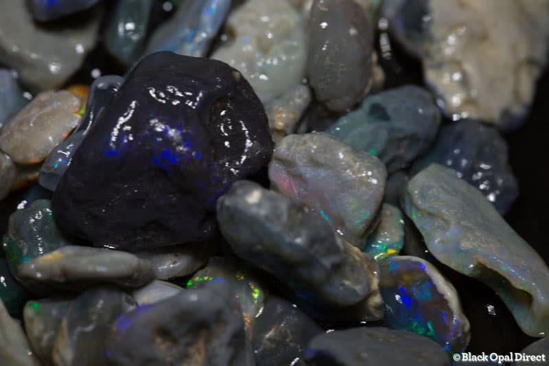 223 ct rough opal parcel for beginners - Image 2