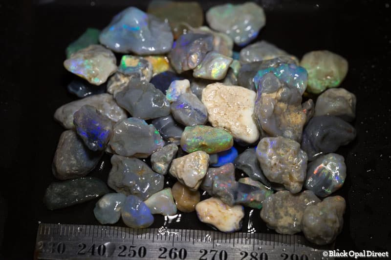 242 ct rough opal parcel for beginner to intermediate - Image 2