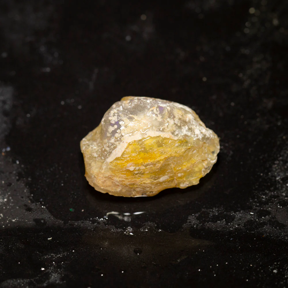 26.80 ct opal fossilised shell 24.7x18.2x12.6mm - Image 2