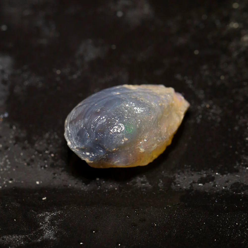 28.04 ct opal fossilised shell 27x18.1x13.2mm - Image 2