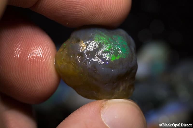292 ct rough opal parcel for intermediate opal cutters - Image 3