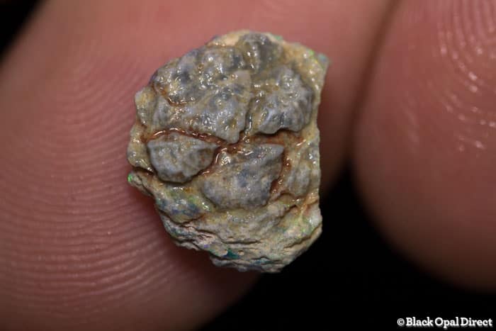 3.04 ct Opalised pine cone 13mm across - Image 2