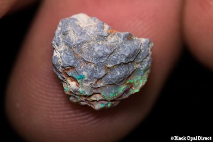 3.04 ct Opalised pine cone 13mm across - Image 4