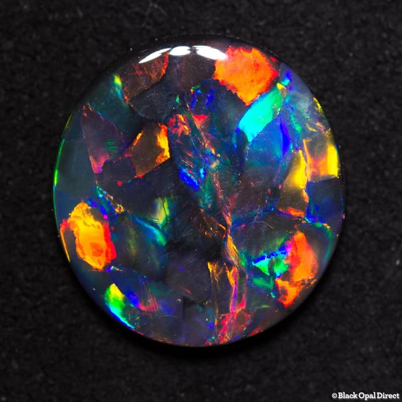 3.60 ct gem black opal collectors piece 13.8x13x2.5mm - Image 2