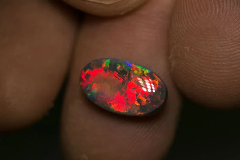 3.66 ct gem black opal 13.5x8x4.7mm - Image 3