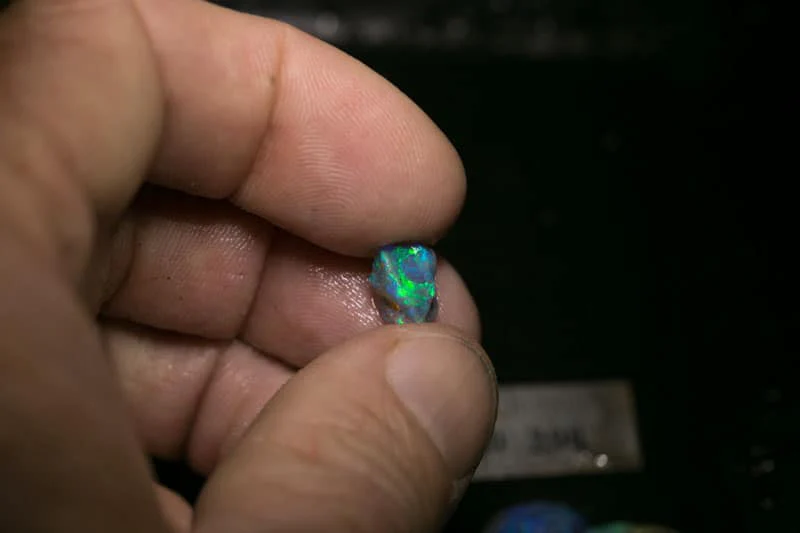 30 ct rough opal parcel 5 pc for the Intermediate opal cutter - Image 5