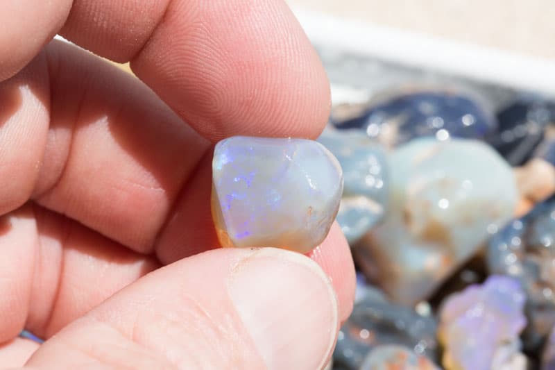 3200 ct rough opal parcel - Image 15
