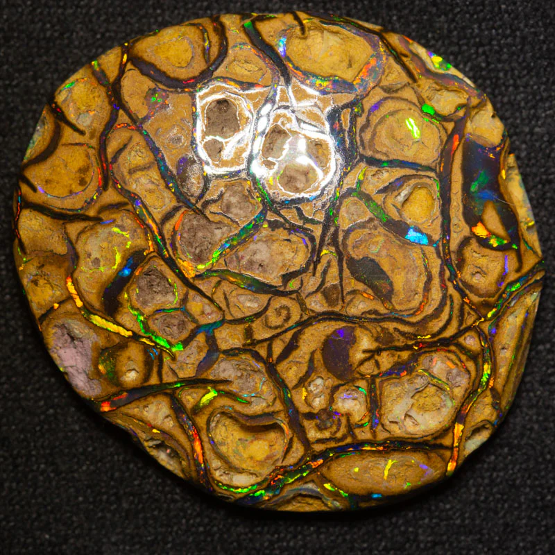 34.63 ct boulder opal 32x28x6.2mm - Image 3