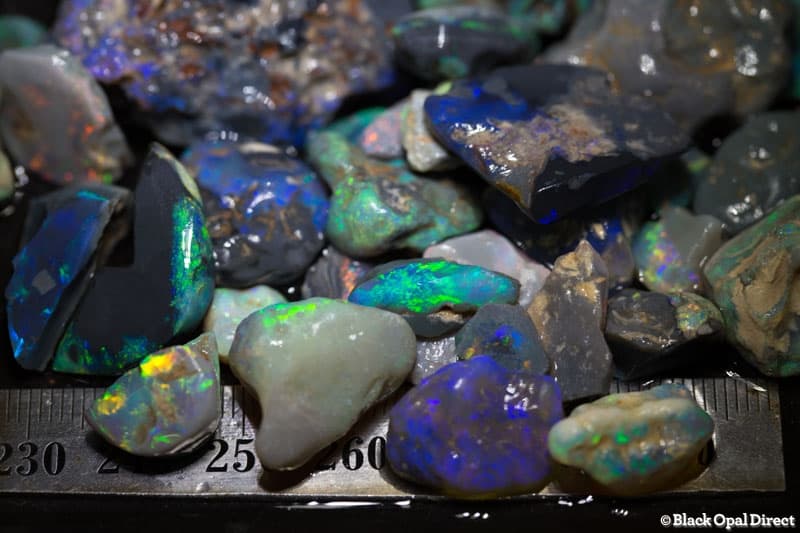 356 ct rough opal parcel for intermediate - Image 2