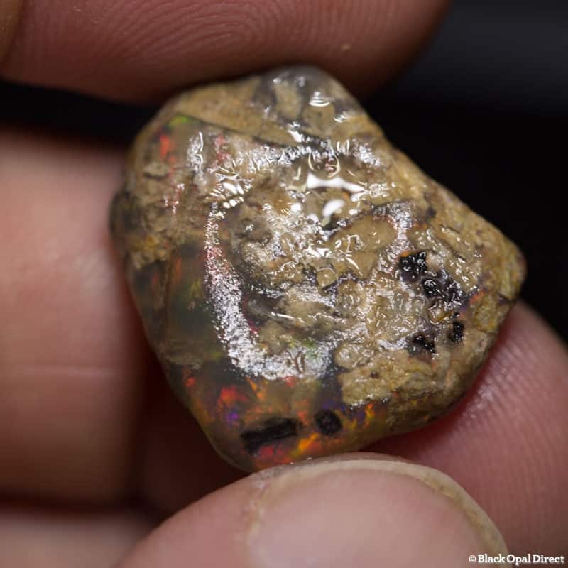 375 ct rough opal parcel for intermediate cutters - Image 7
