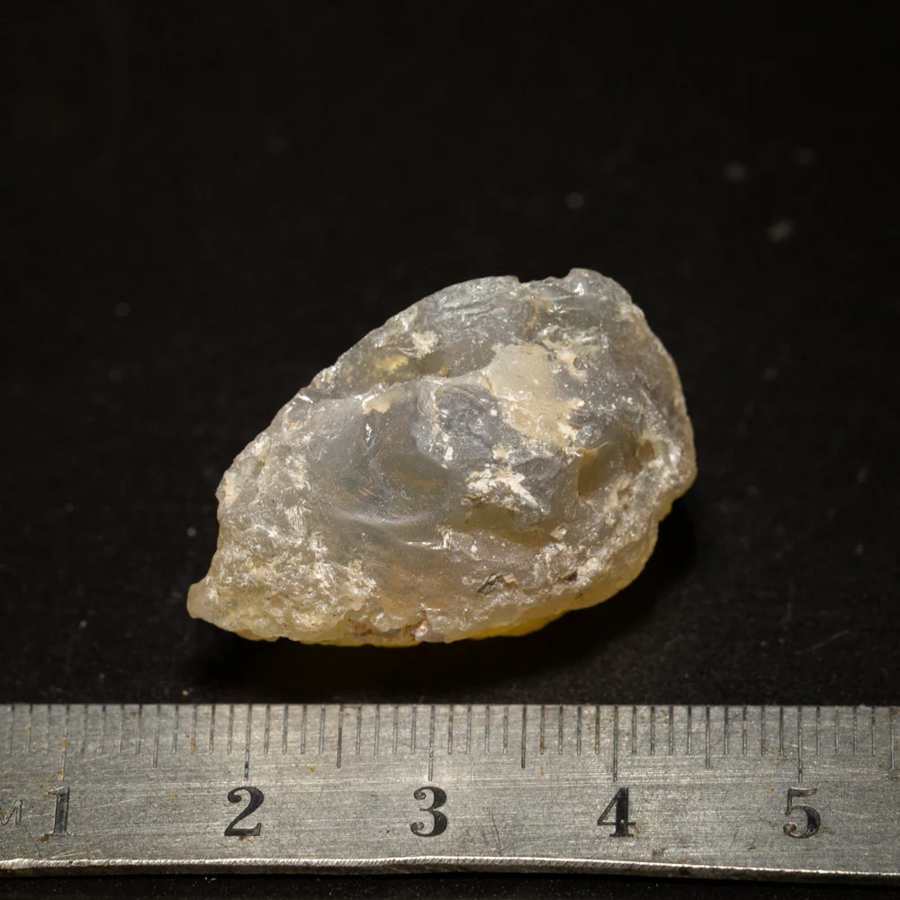 35.86 ct opal fossilised shell 30x19.5x14.8mm - Image 2