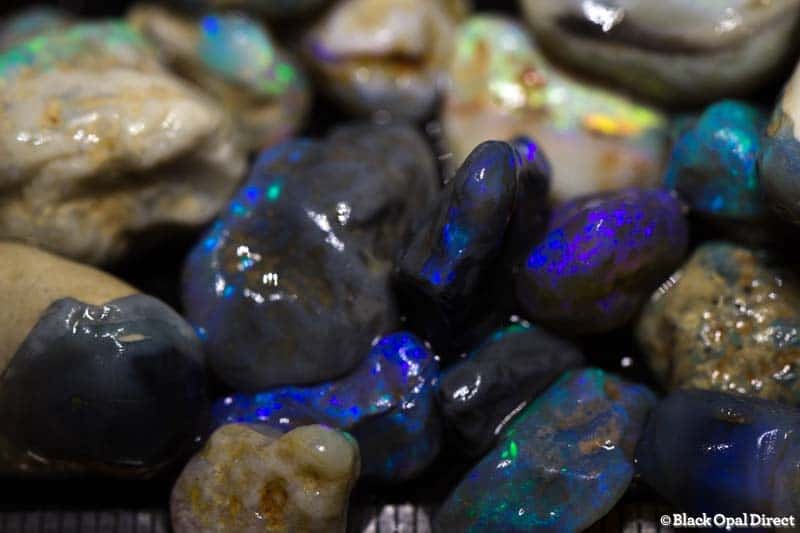 397 ct rough opal parcel for beginners - Image 2