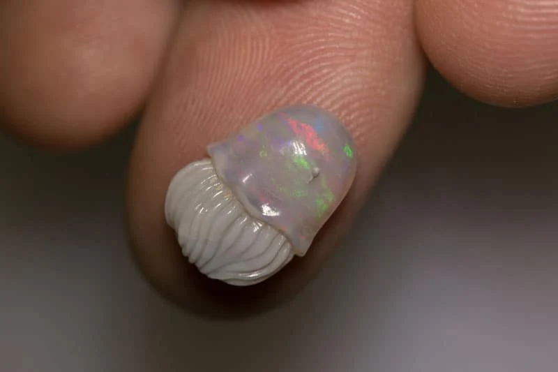 4.56ct opal jellyfish carving 15x11x5mm - Image 2