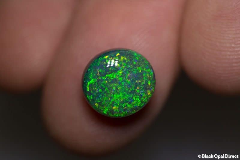 4.82 ct black opal 11x10x7mm - Image 2