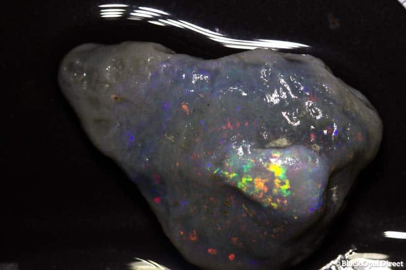 41.27 ct rough opal piece 33mm across - Image 2