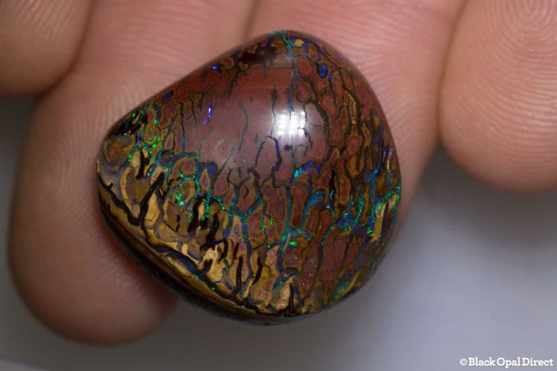 41.58ct boulder opal 25x34x9mm - Image 4
