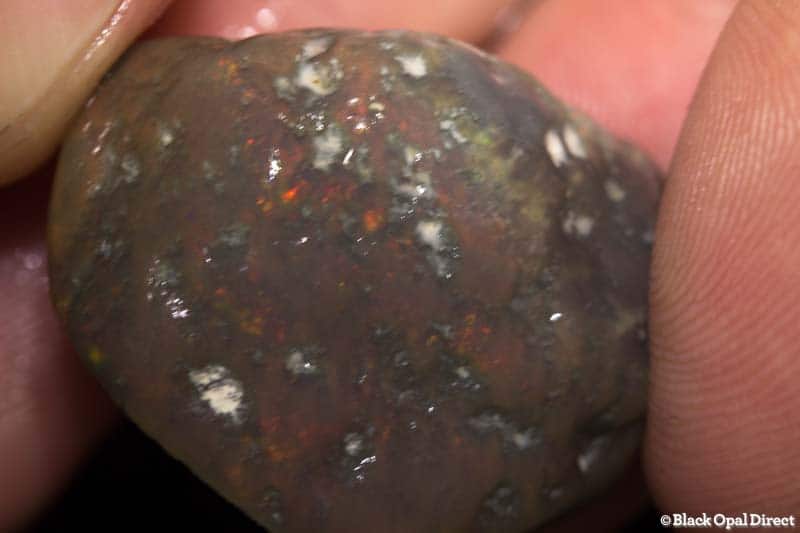 41 ct rough opal piece 27mm across - Image 2