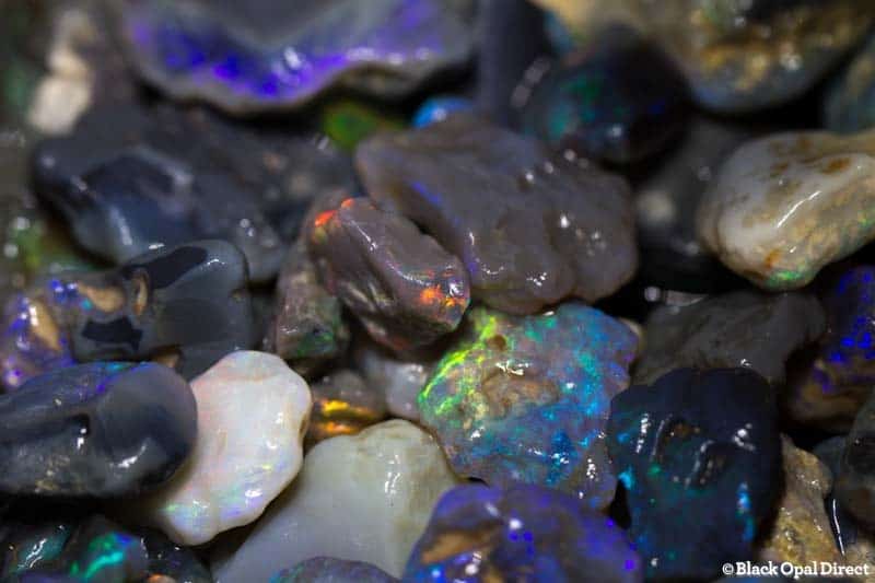 429 ct rough opal parcel for beginners - Image 2