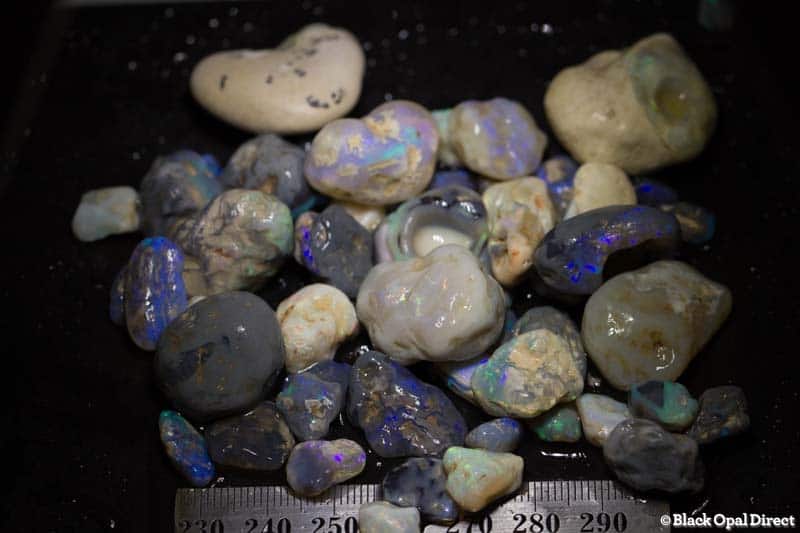 467 ct rough opal parcel for beginners and intermediate - Image 2