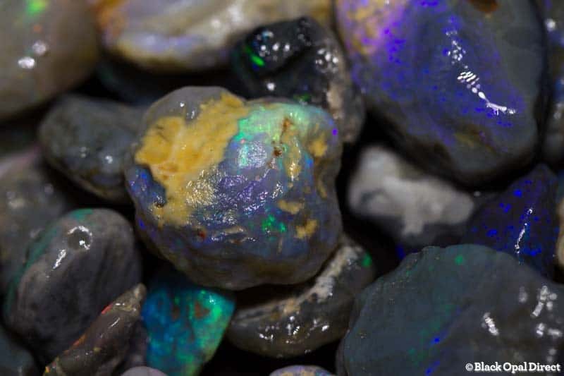 484 ct beginners to intermediate rough opal parcel with many cutters - Image 2