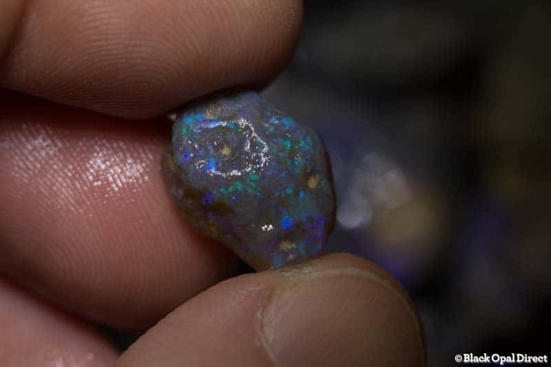 484 ct beginners to intermediate rough opal parcel with many cutters - Image 5