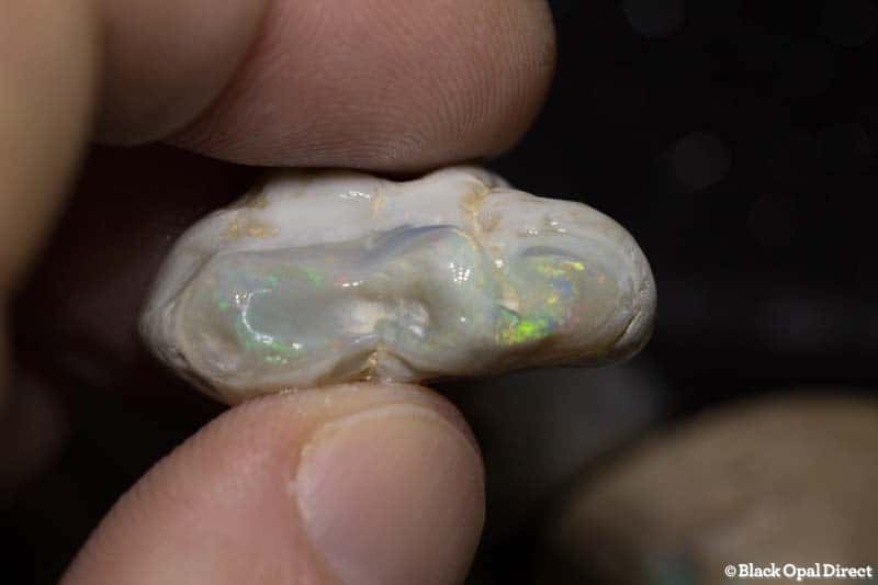 497 ct rough opal beginners parcel - Image 3