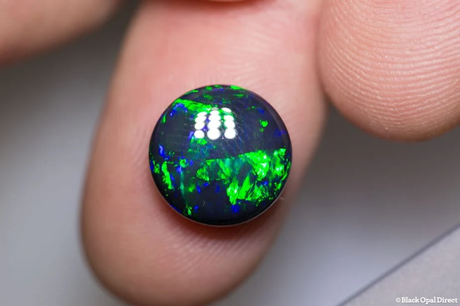 5.52 ct gem black opal round 12x12x5.5mm - Image 4