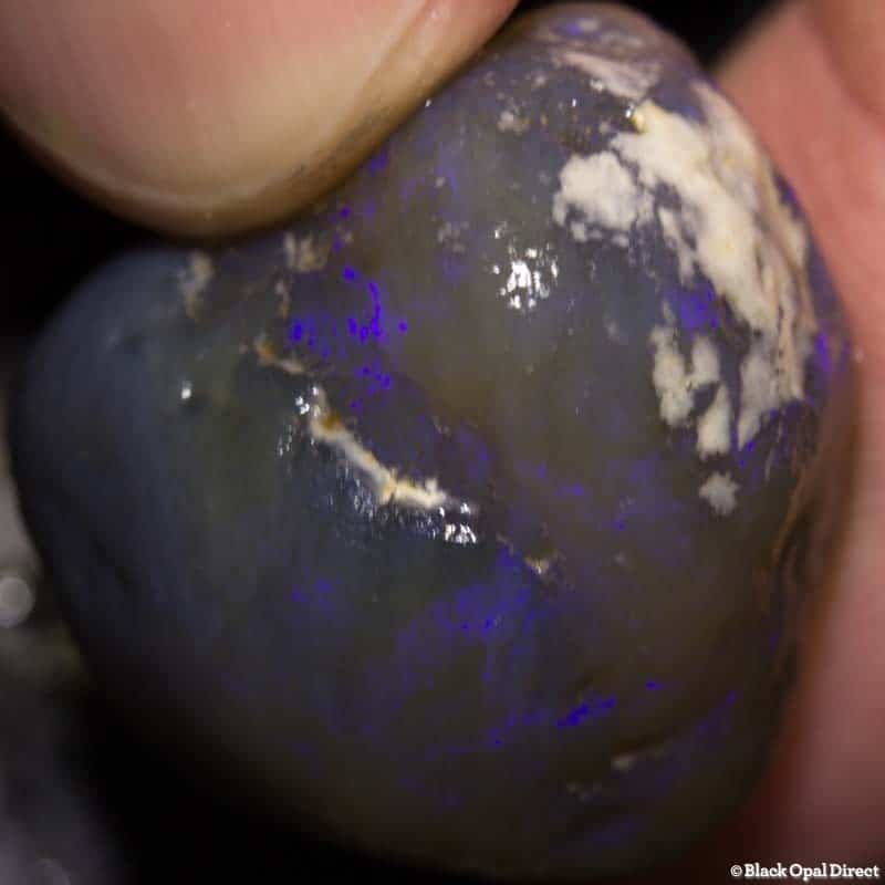 52 ct rough opal piece 24mm across - Image 2